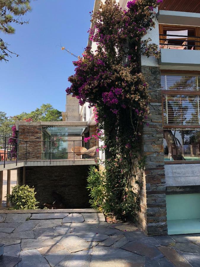 Bungalow B2 - Nature, Beach & River أوفير المظهر الخارجي الصورة