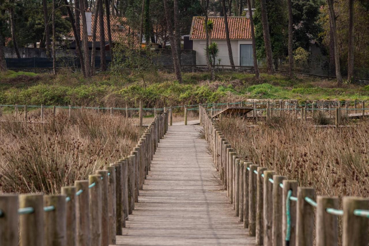 Bungalow B2 - Nature, Beach & River أوفير المظهر الخارجي الصورة